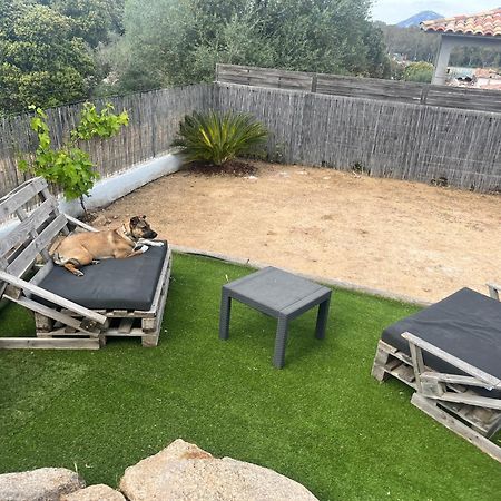 Villa Orethaga Piscine 10 Pers Porto Vecchio Bagian luar foto
