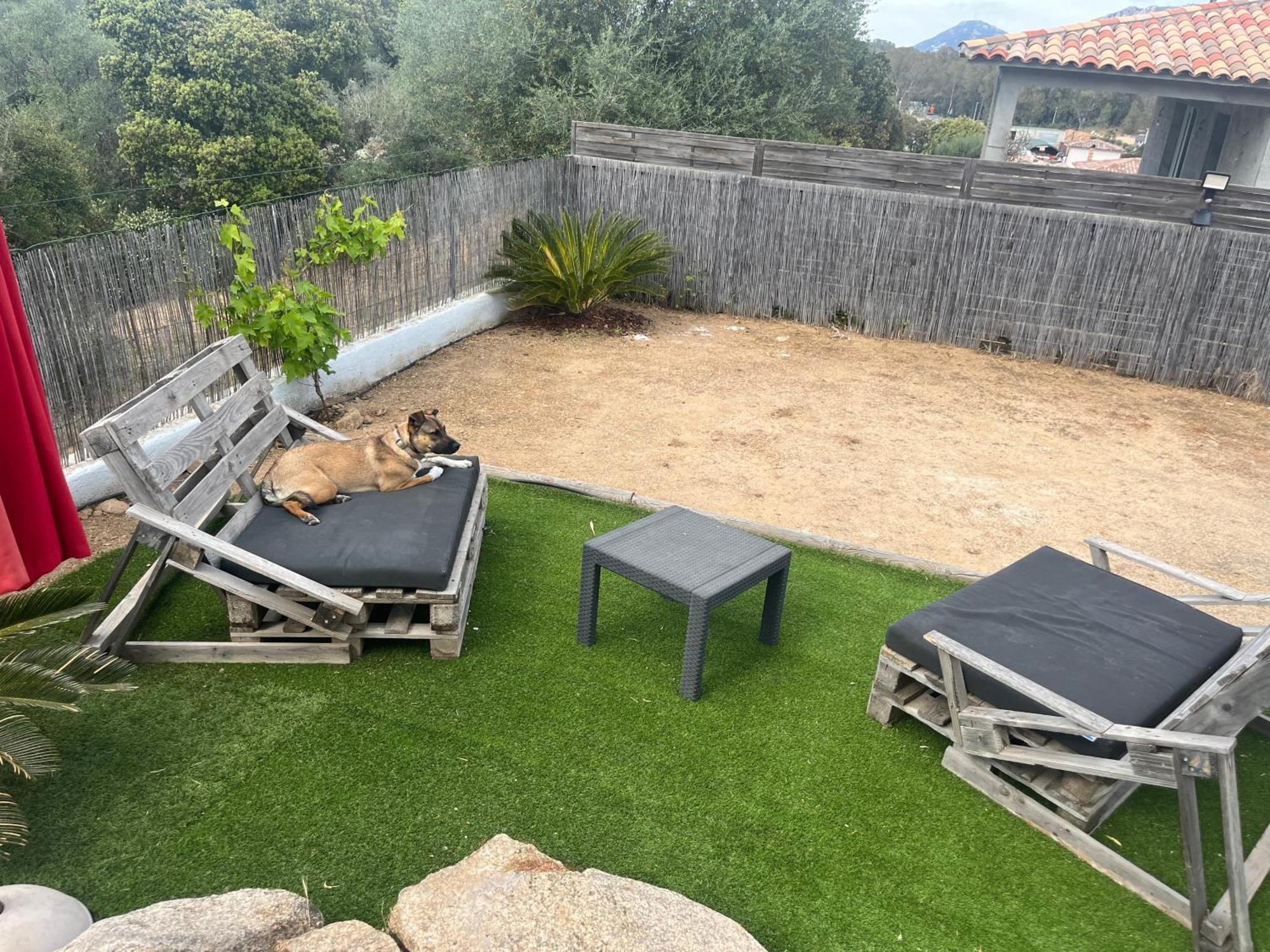 Villa Orethaga Piscine 10 Pers Porto Vecchio Bagian luar foto