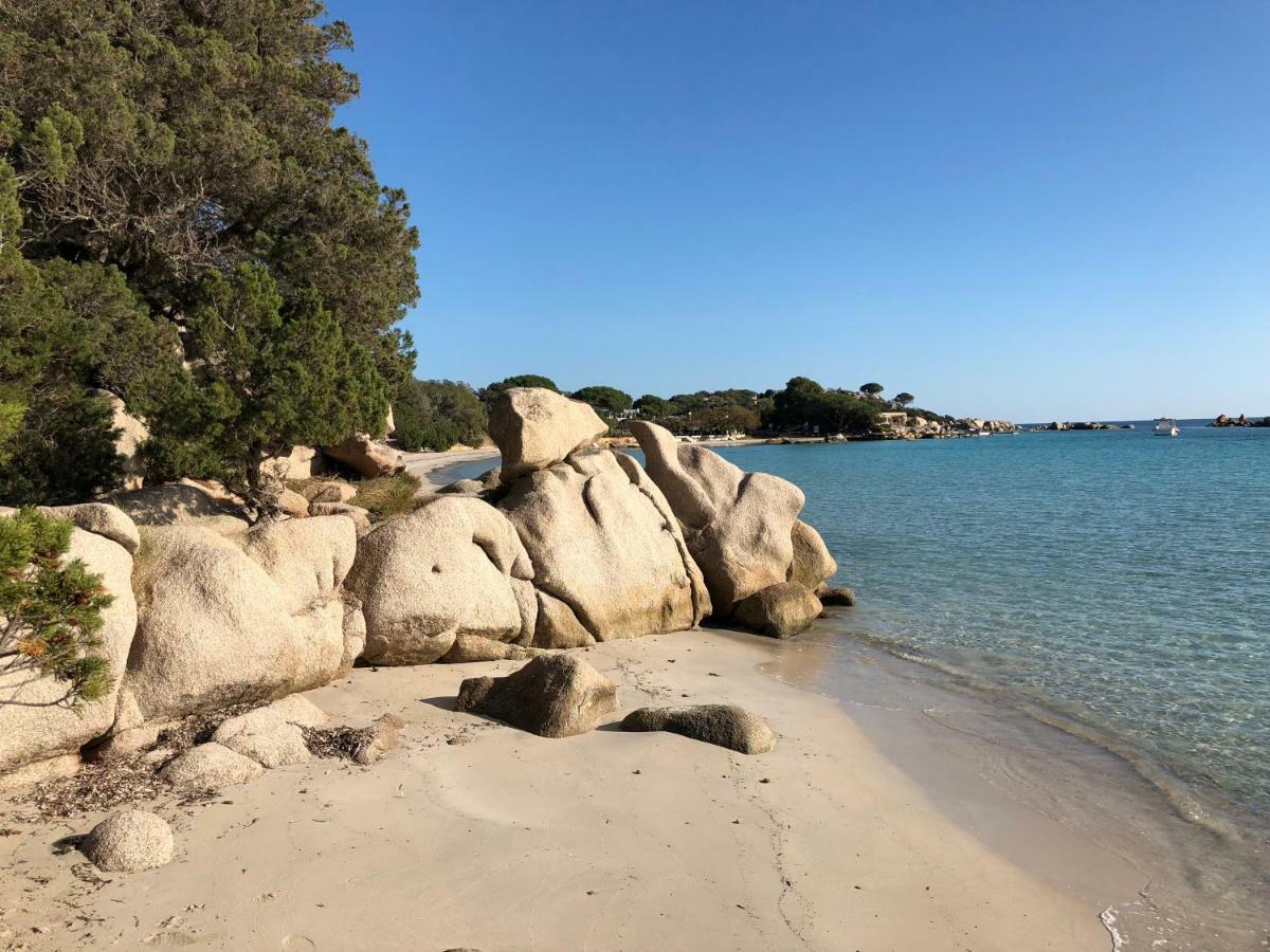 Villa Orethaga Piscine 10 Pers Porto Vecchio Bagian luar foto