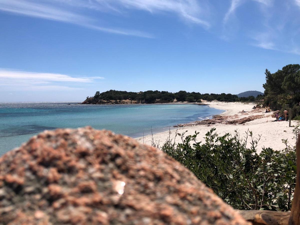 Villa Orethaga Piscine 10 Pers Porto Vecchio Bagian luar foto