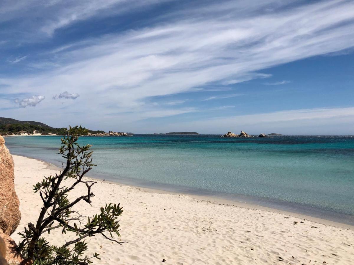 Villa Orethaga Piscine 10 Pers Porto Vecchio Bagian luar foto